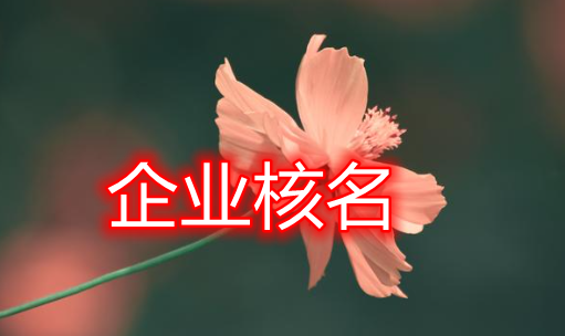 企业核名